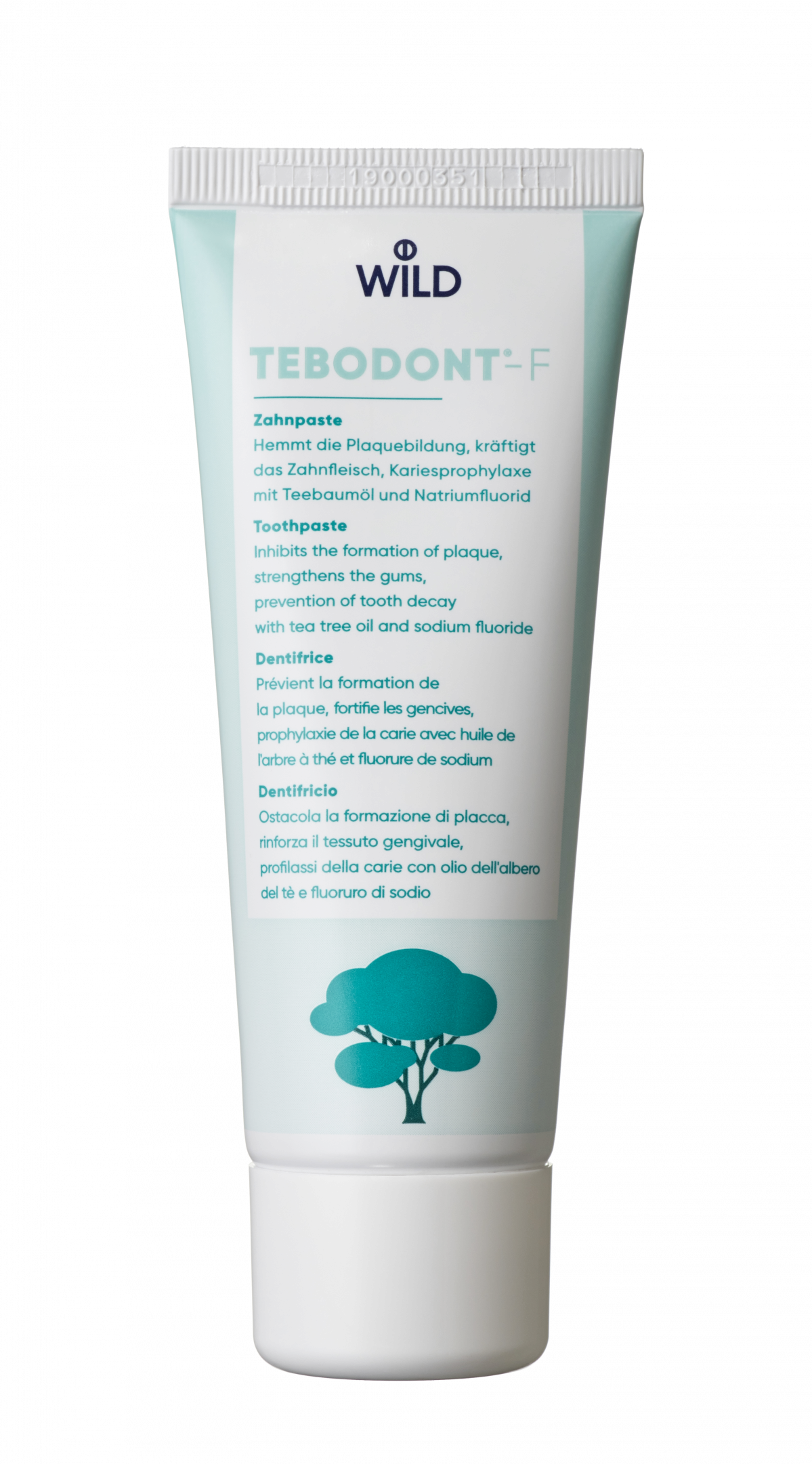 Tebodont-F zubná pasta s fluoridmi, 75 ml