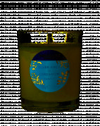 Tisserand Silver Birch & Cardamom sviečka s vôňou striebornej brezy a kardamomu