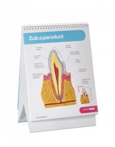 PROFIMED Atlas ústnej hygieny