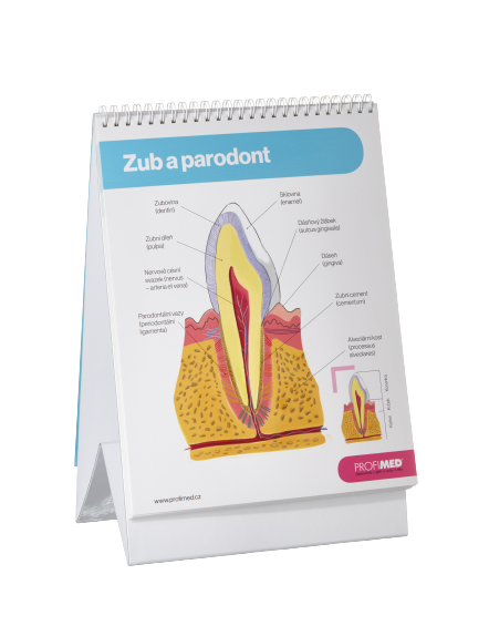 PROFIMED Atlas ústnej hygieny